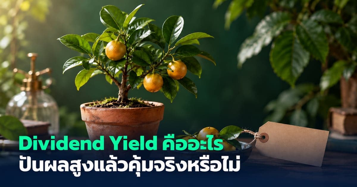 Dividend Yield คืออะไร ปันผลสูงแล้วคุ้มจริงหรือไม่